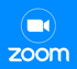 Online Coaching via Zoom 